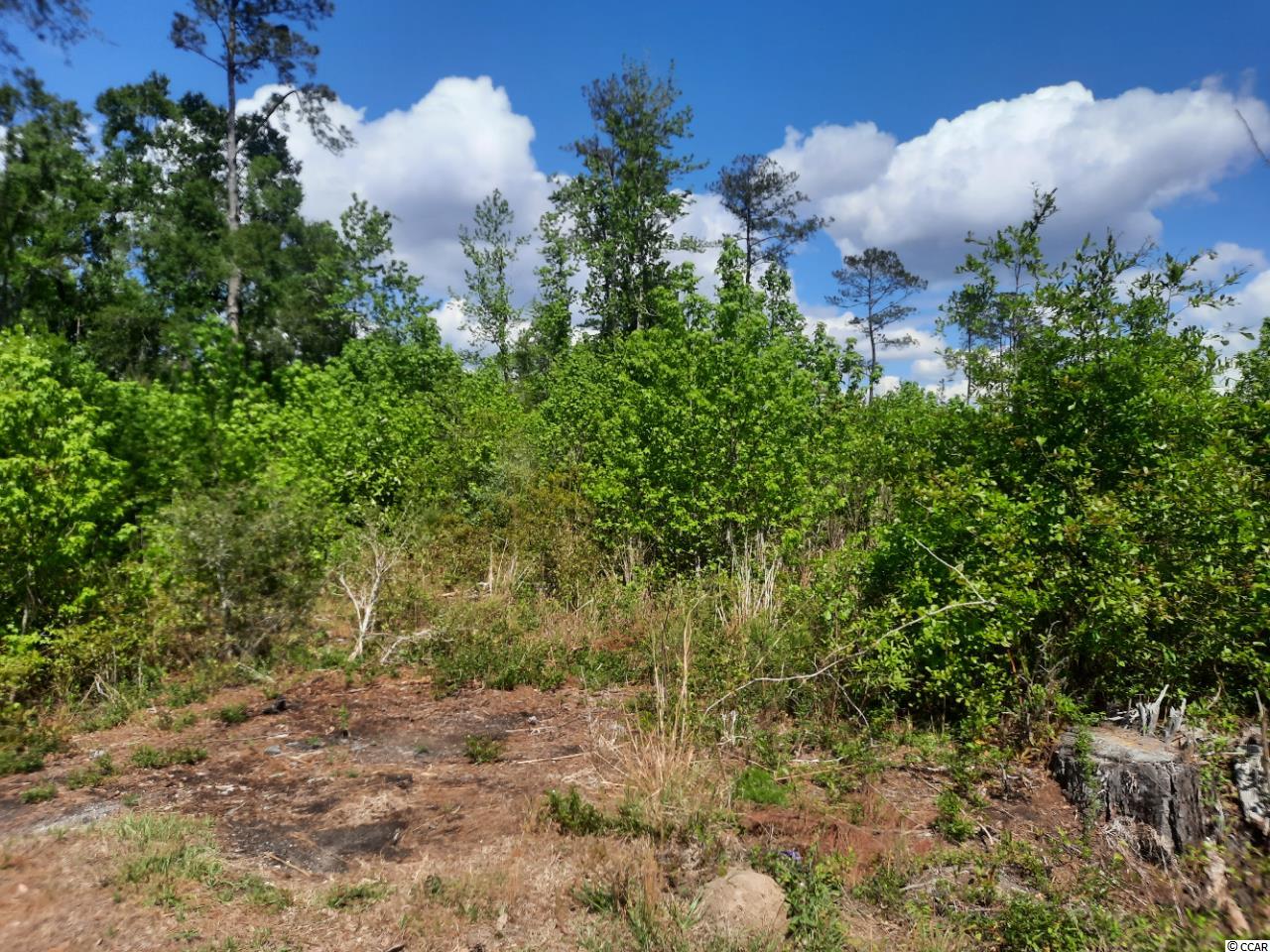 434 County Rd S-22-388 Georgetown, SC 29440 - Photo 2 of 2 Gallery Image 2