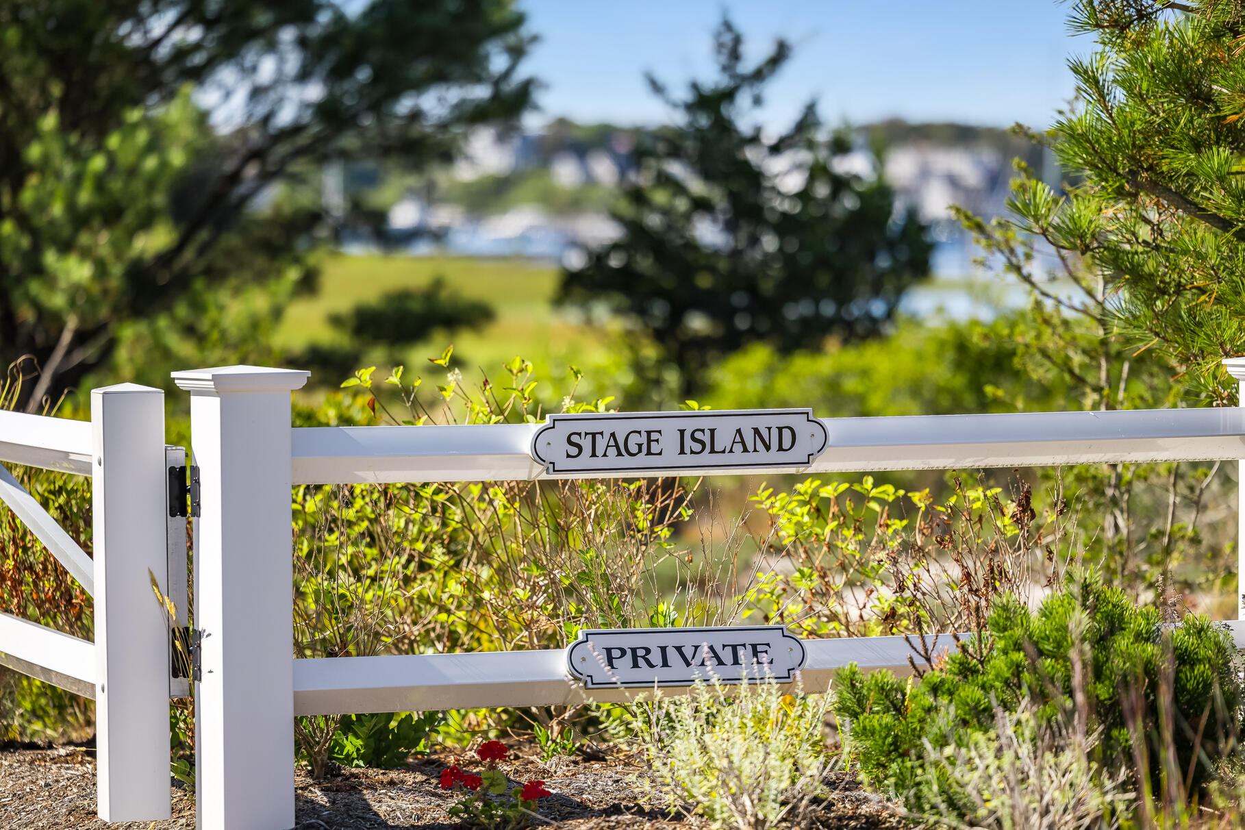 335 Stage Island Road Chatham, MA 02633 - Photo 6 of 71 9L4A5605