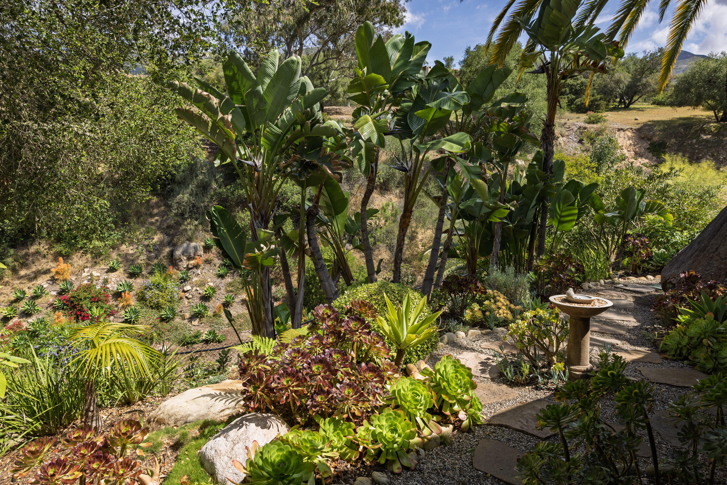 655 Coyote Road Santa Barbara, CA 93108 - Photo 32 of 38 655 Coyote Rd_0015