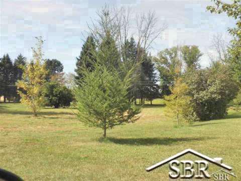 11534 Maple Road Birch Run, MI 48415 - Photo 2 of 3 20391291-1.JPG