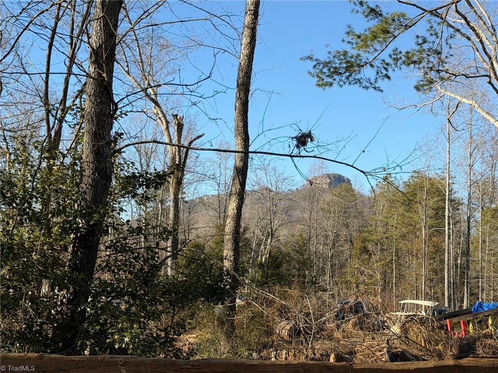 538-545 Culler Road Pinnacle, NC 27043 - Photo 1 of 12