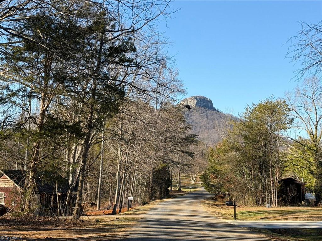 538-545 Culler Road Pinnacle, NC 27043 - Photo 10 of 12