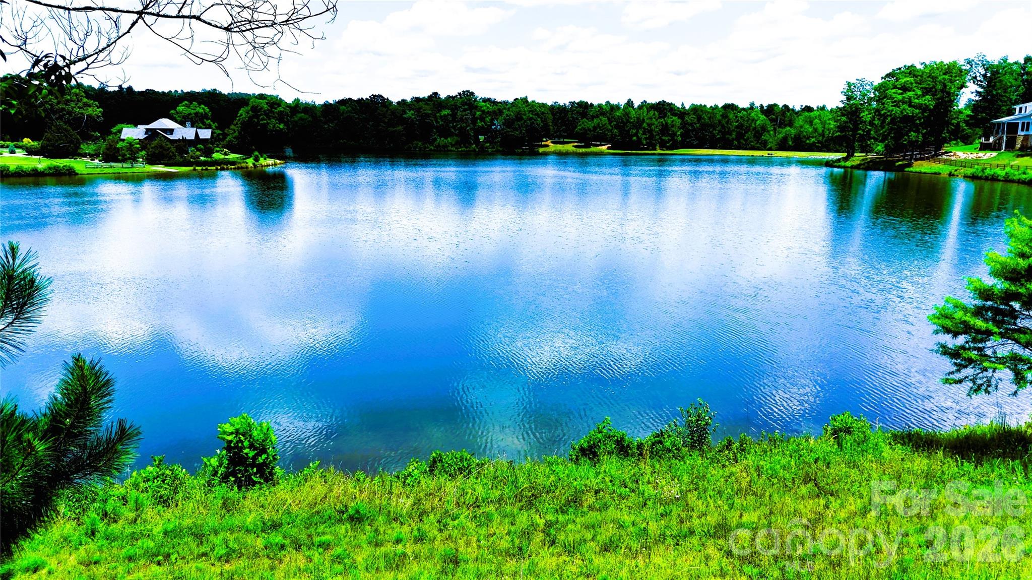 0 Mapleton Lane, Unit LOT 6 Columbus, NC 28722 - Photo 3 of 25
