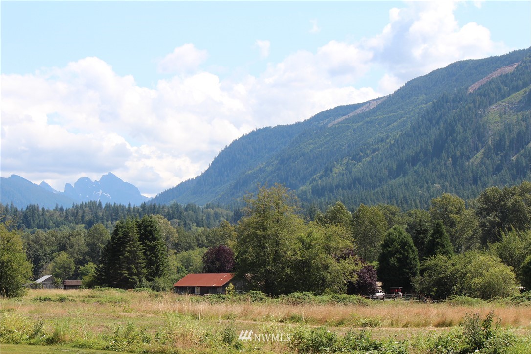 30217 Oso Loop Road Arlington, WA 98223 - Photo 33 of 34 a view of a dry yard with mountain