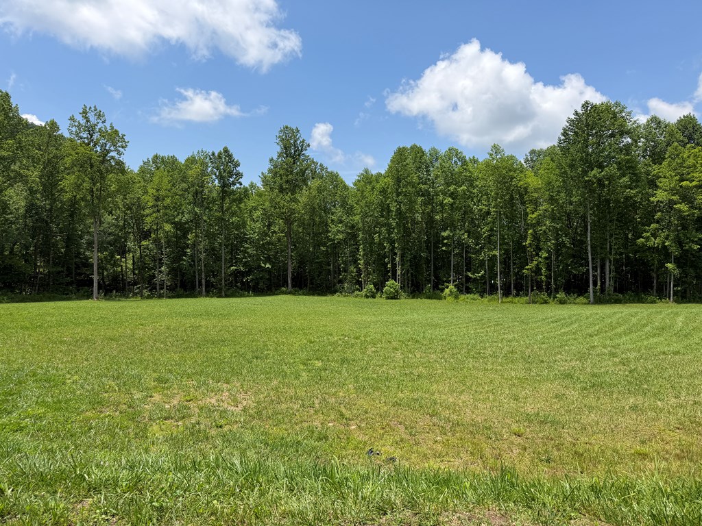 1446 Muskrat Creek Road Hayesville, NC 28904 - Photo 107 of 108