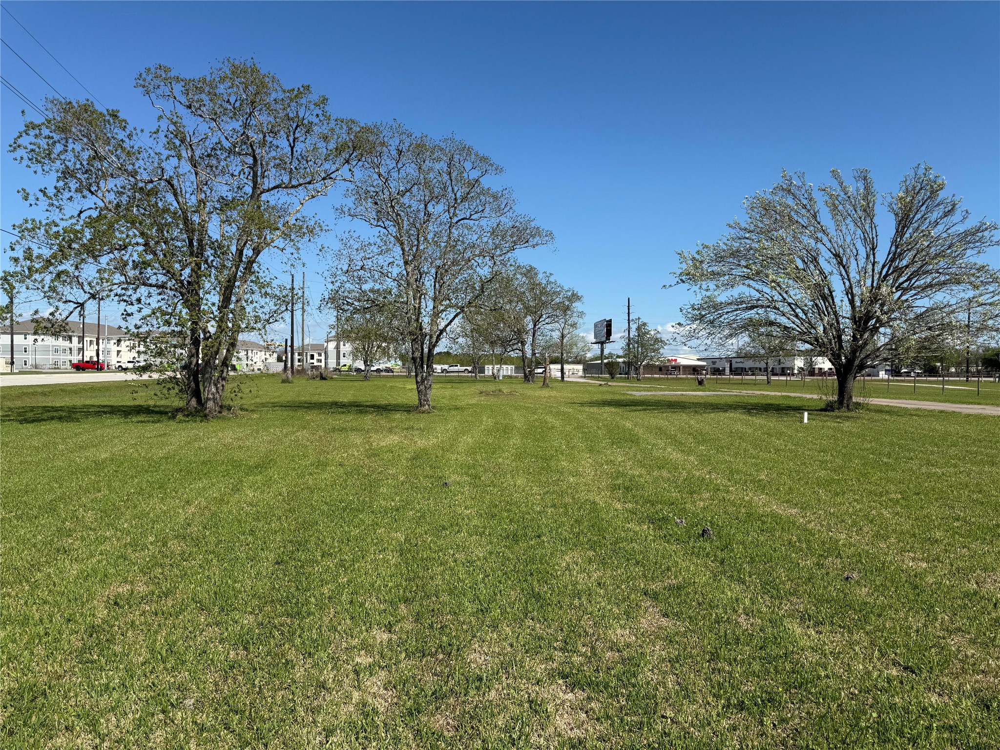 a view of a park with large trees
