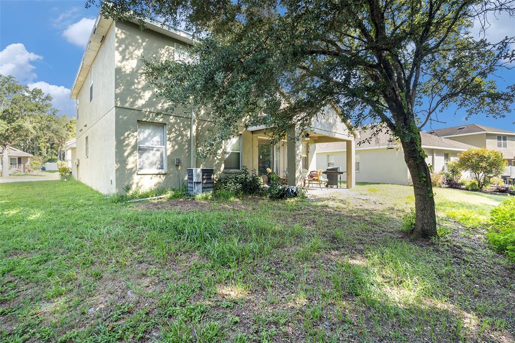 11808 Colony Lakes Boulevard New Port Richey, FL 34654 - Photo 24 of 25 a backyard of a house with lots of green space