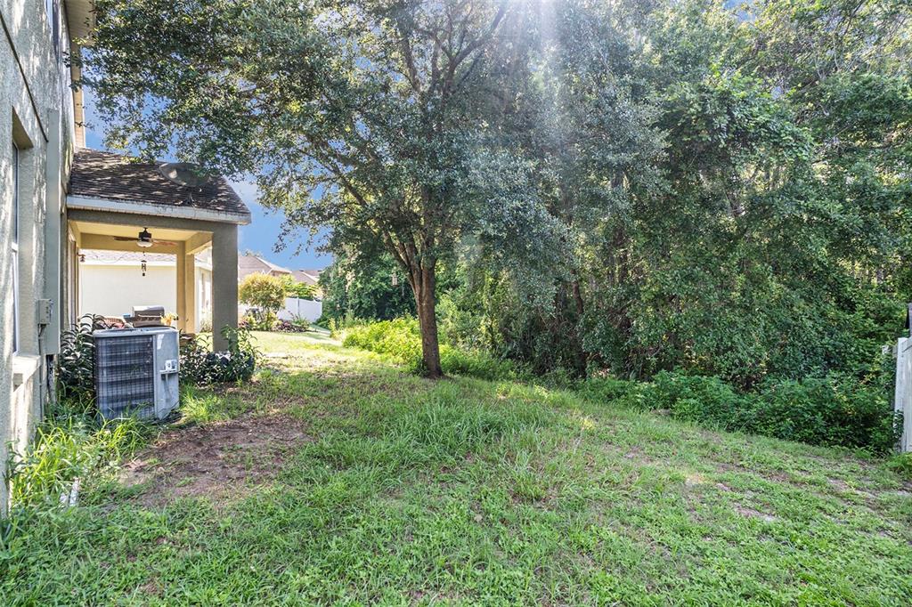 11808 Colony Lakes Boulevard New Port Richey, FL 34654 - Photo 25 of 25 a view of a garden from a room