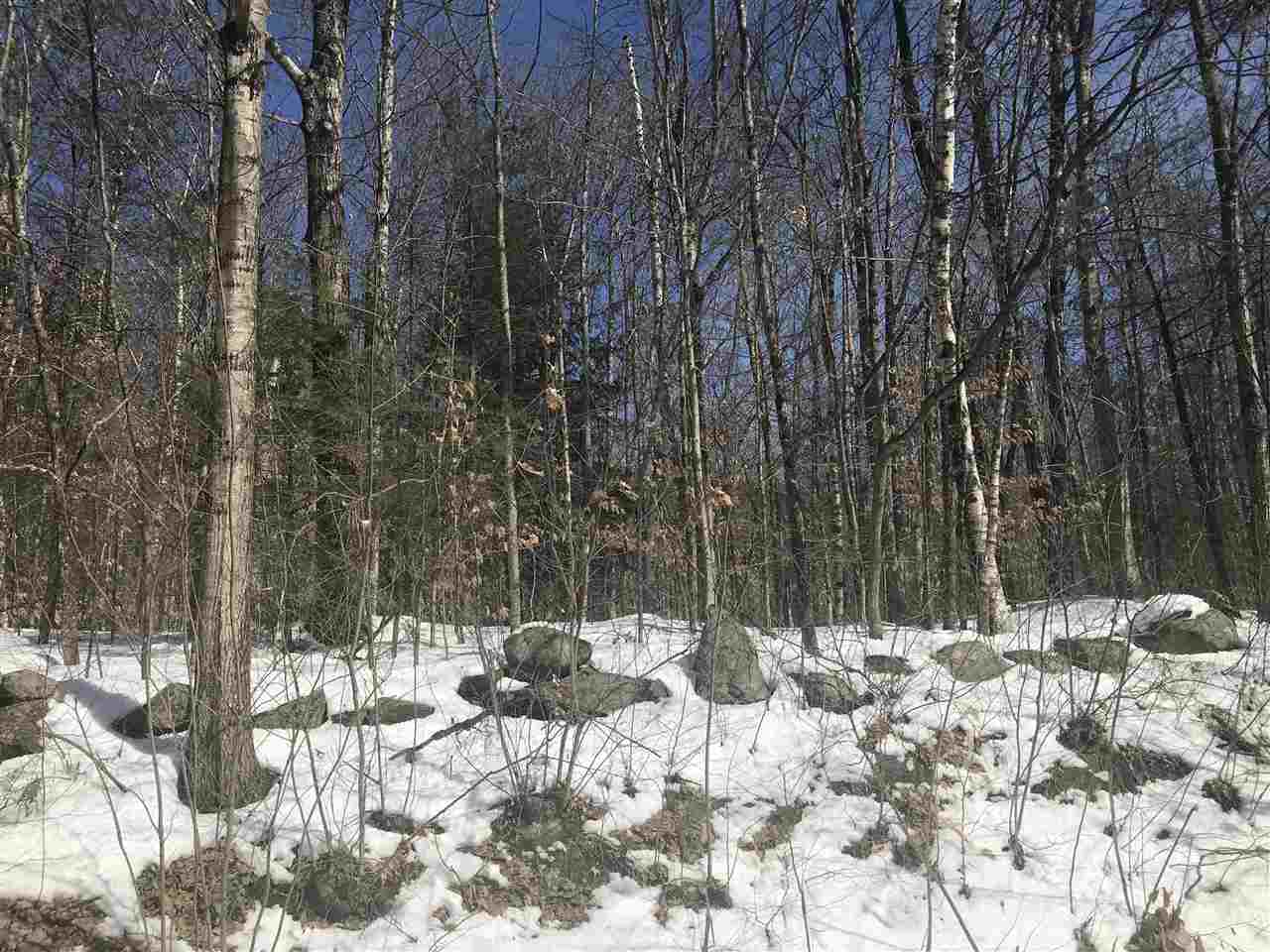 0 North Ashland Road Ashland, NH 03217 - Photo 2 of 9