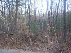 0 North Ashland Road Ashland, NH 03217 - Photo 4 of 9