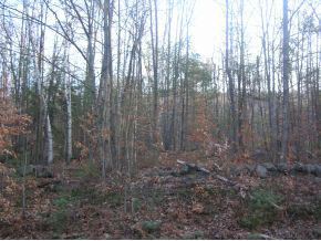 0 North Ashland Road Ashland, NH 03217 - Photo 8 of 9