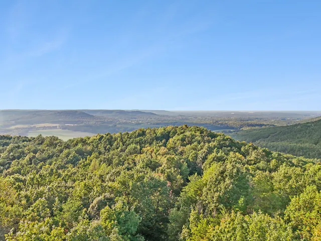 $3,250,000 | 589 Hester Porter Road, Tuscumbia, AL 35674