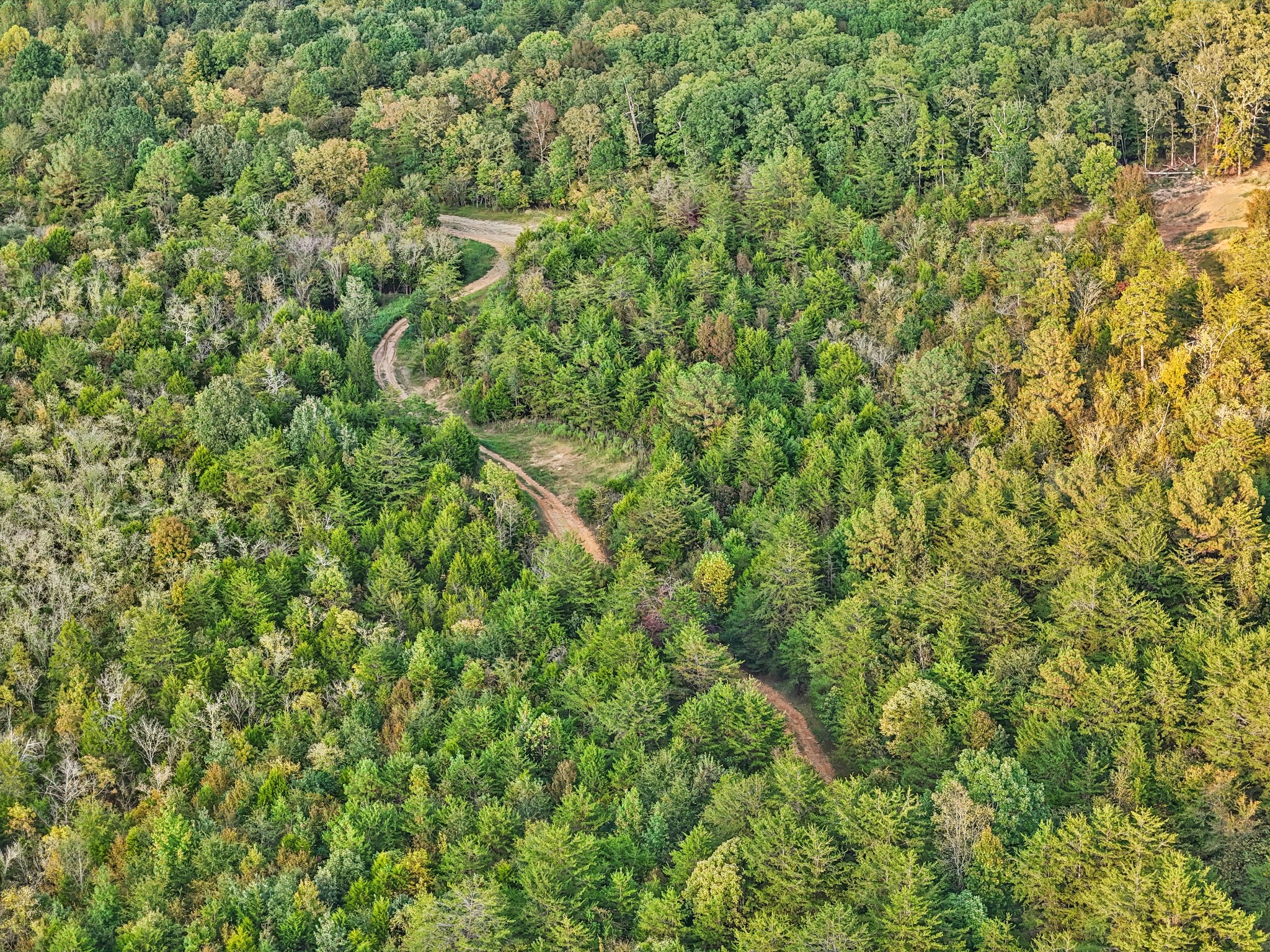 589 Hester Porter Road Tuscumbia, AL 35674 - Photo 13 of 40