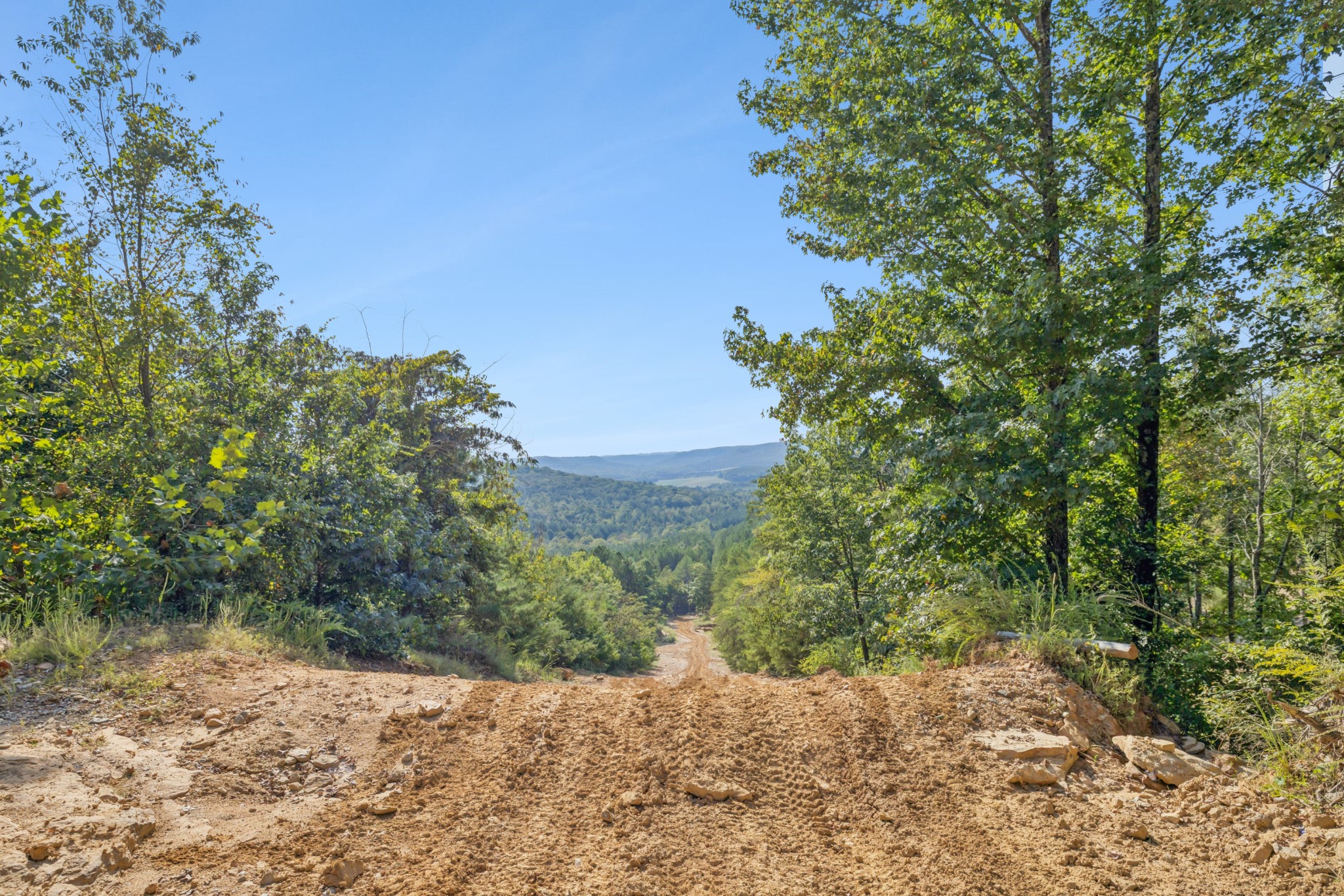 589 Hester Porter Road Tuscumbia, AL 35674 - Photo 6 of 40