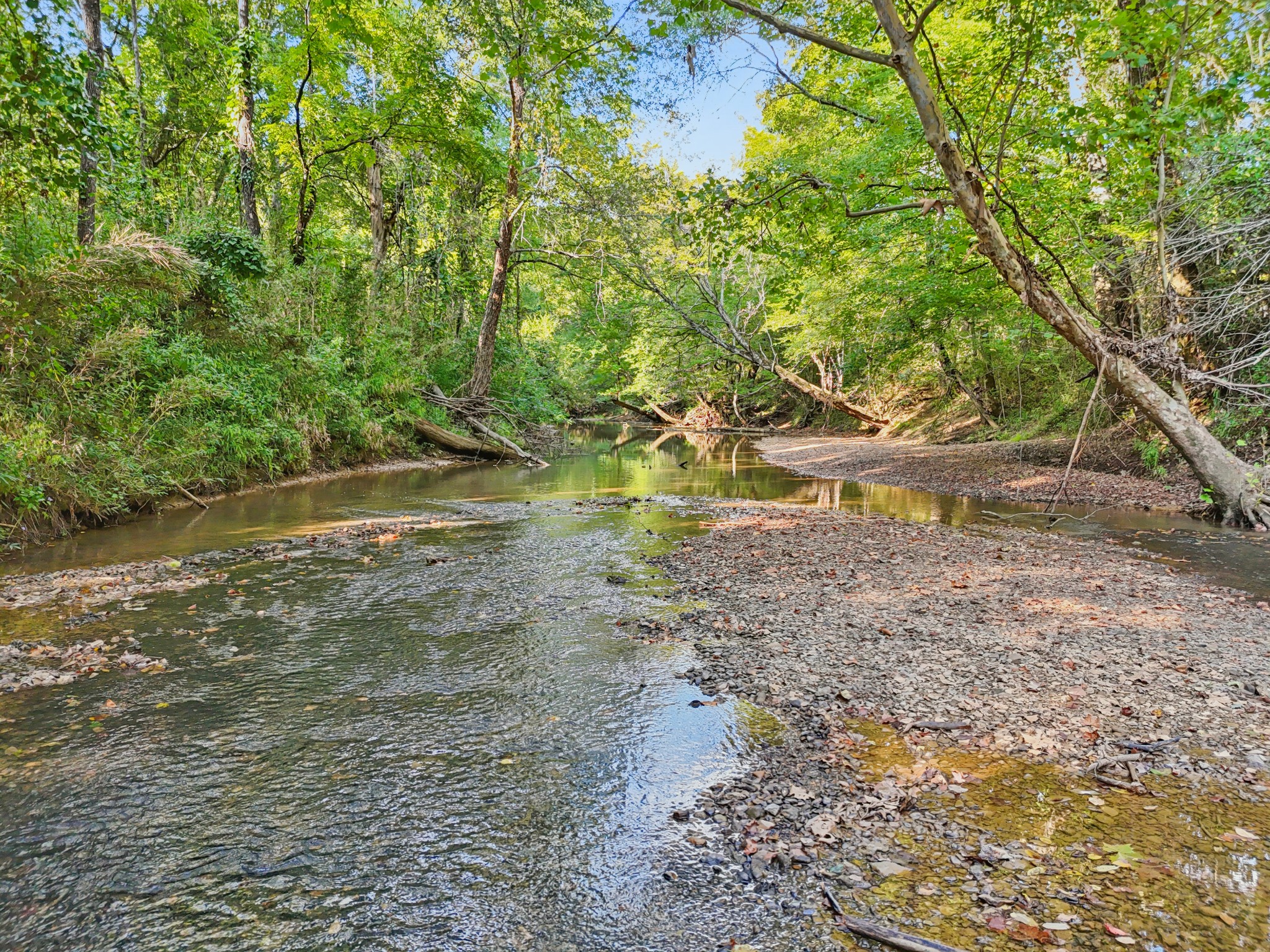 589 Hester Porter Road Tuscumbia, AL 35674 - Photo 8 of 40