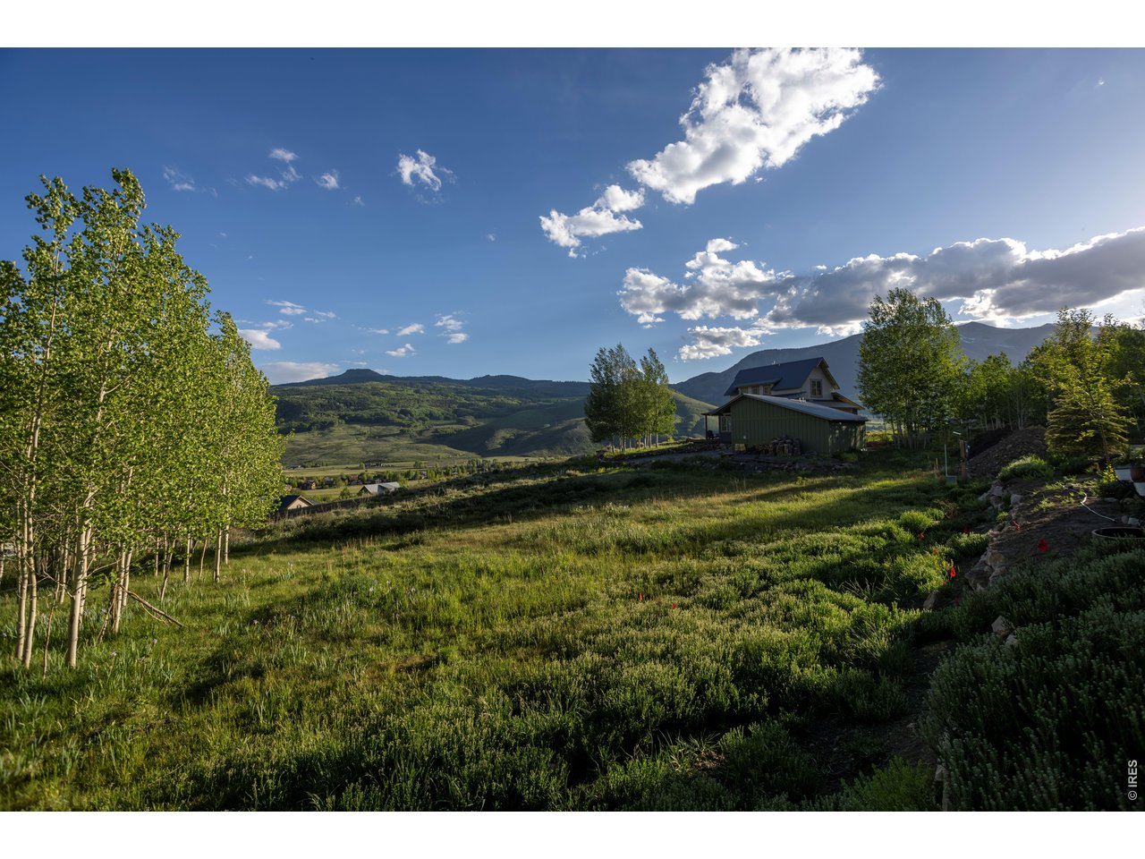 451 Zeligman Street Crested Butte, CO 81224 - Photo 4 of 16 a view of a house with a yard