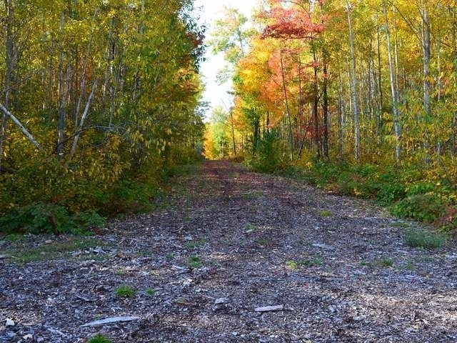 W6415 Cth Road Tomahawk, WI 54487 - Photo 13 of 21 Gallery Image 13