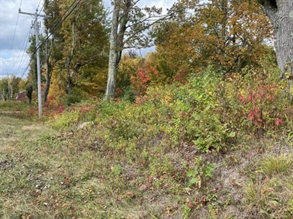 Lot 0 Main Road Granville, MA 01034 - Photo 5 of 8 Gallery Image 5