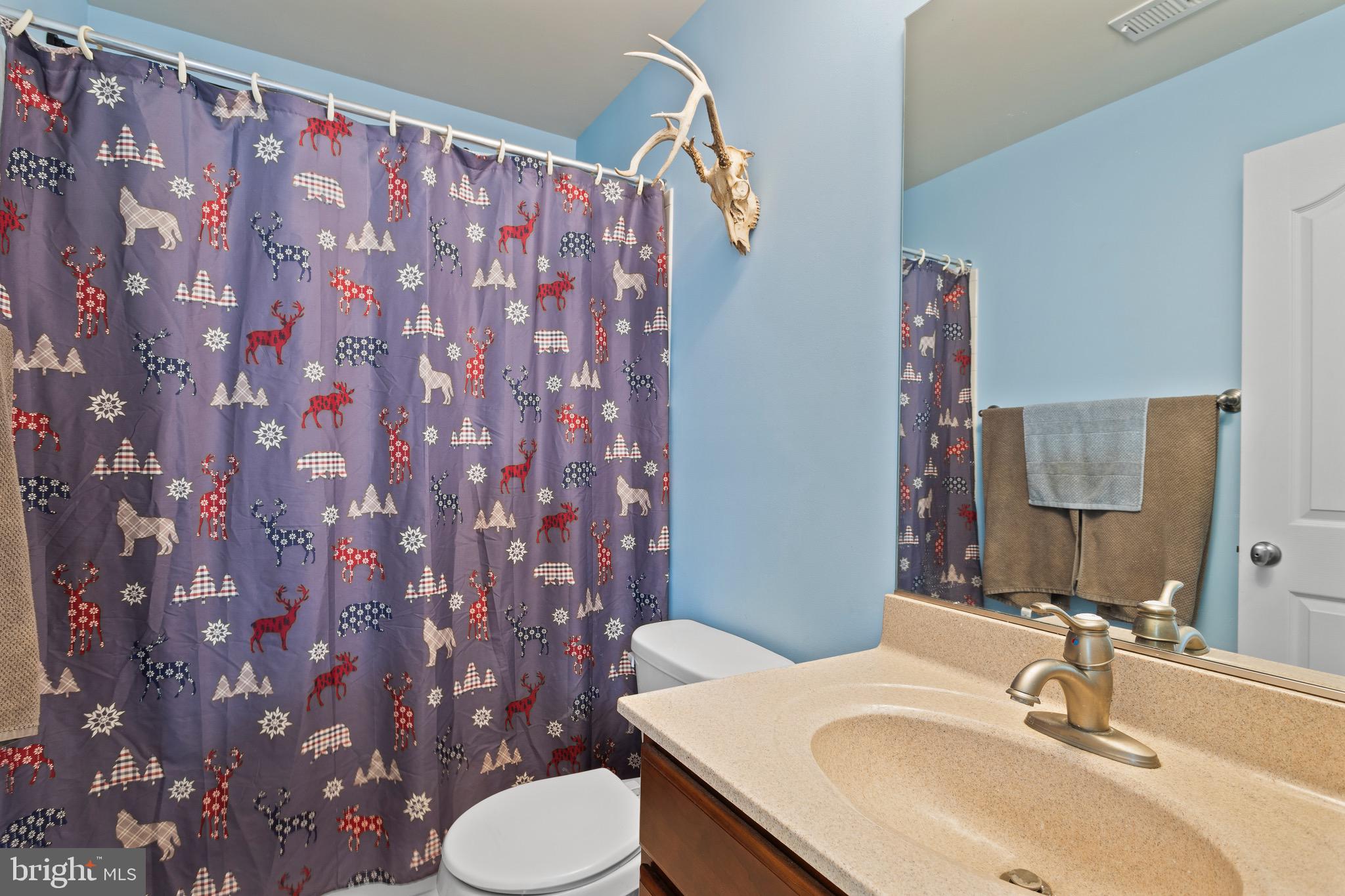 3325 Cox Road Chesapeake Beach, MD 20732 - Photo 55 of 127 Full bathroom attached to bedroom #2