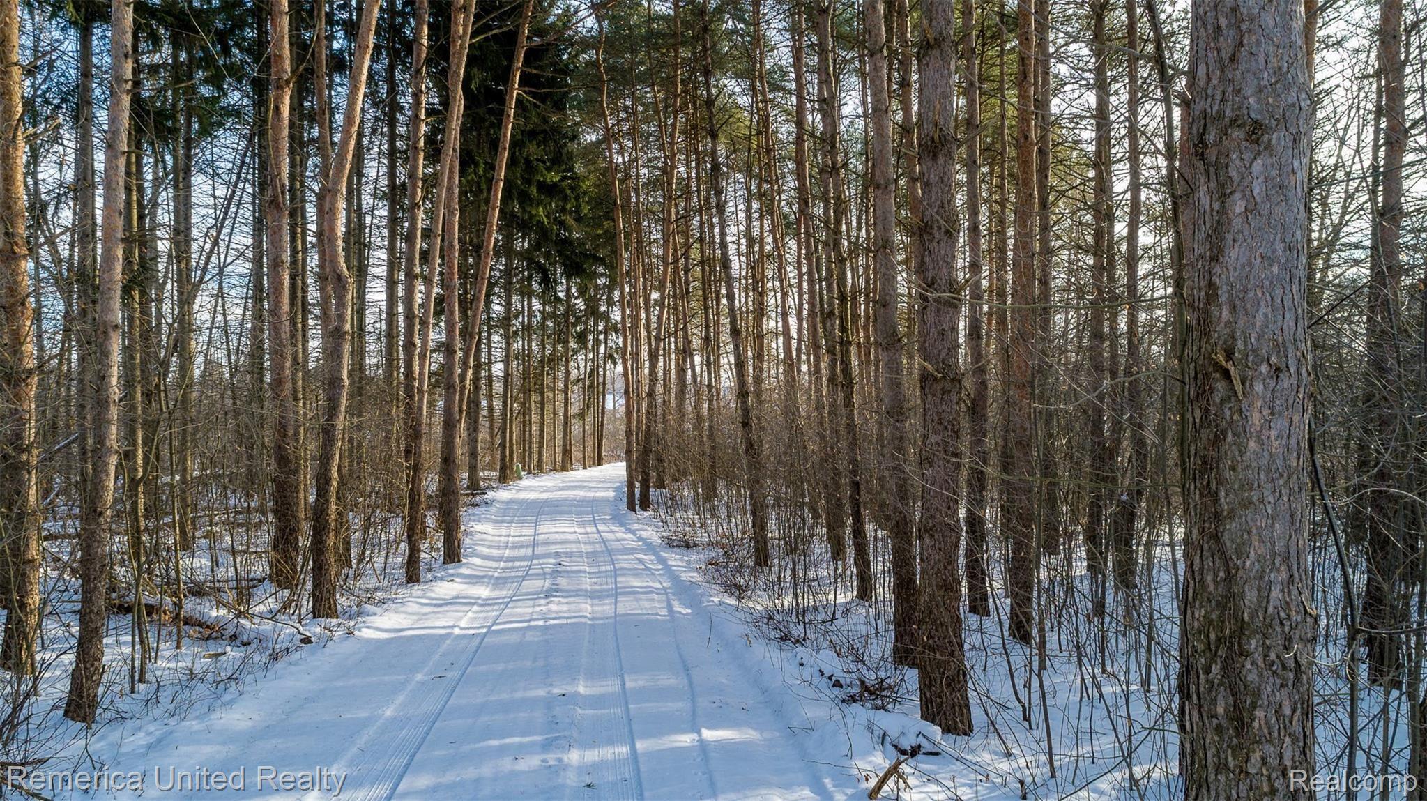 15466 Seymour Road Linden, MI 48451 - Photo 4 of 40 DJI_0001.jpg