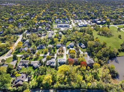 view of a bunch of flowers