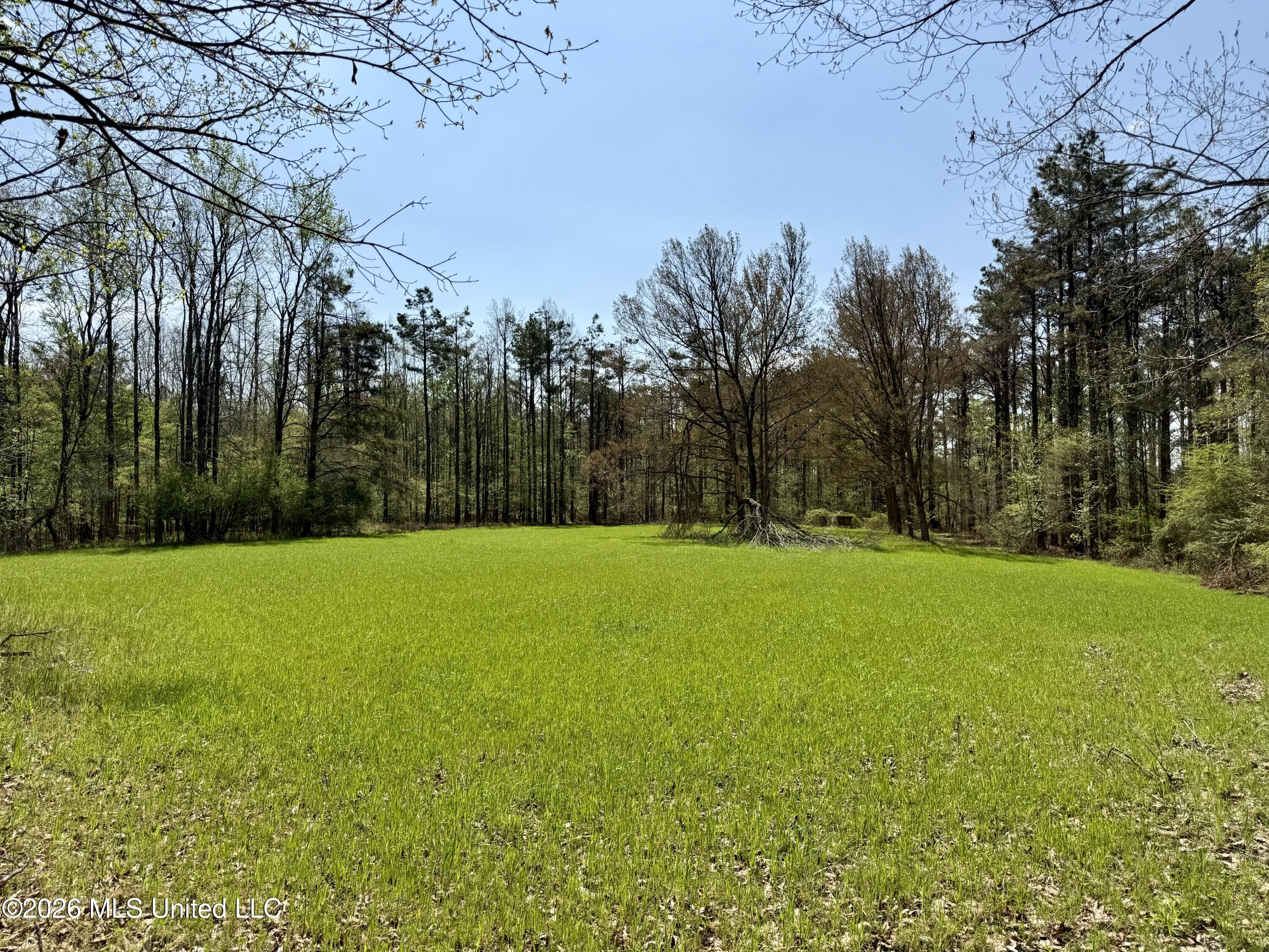 27979 Highway 12 Lexington, MS 39095 - Photo 11 of 32 Photo Mar 27 2026, 11 57 55 AM