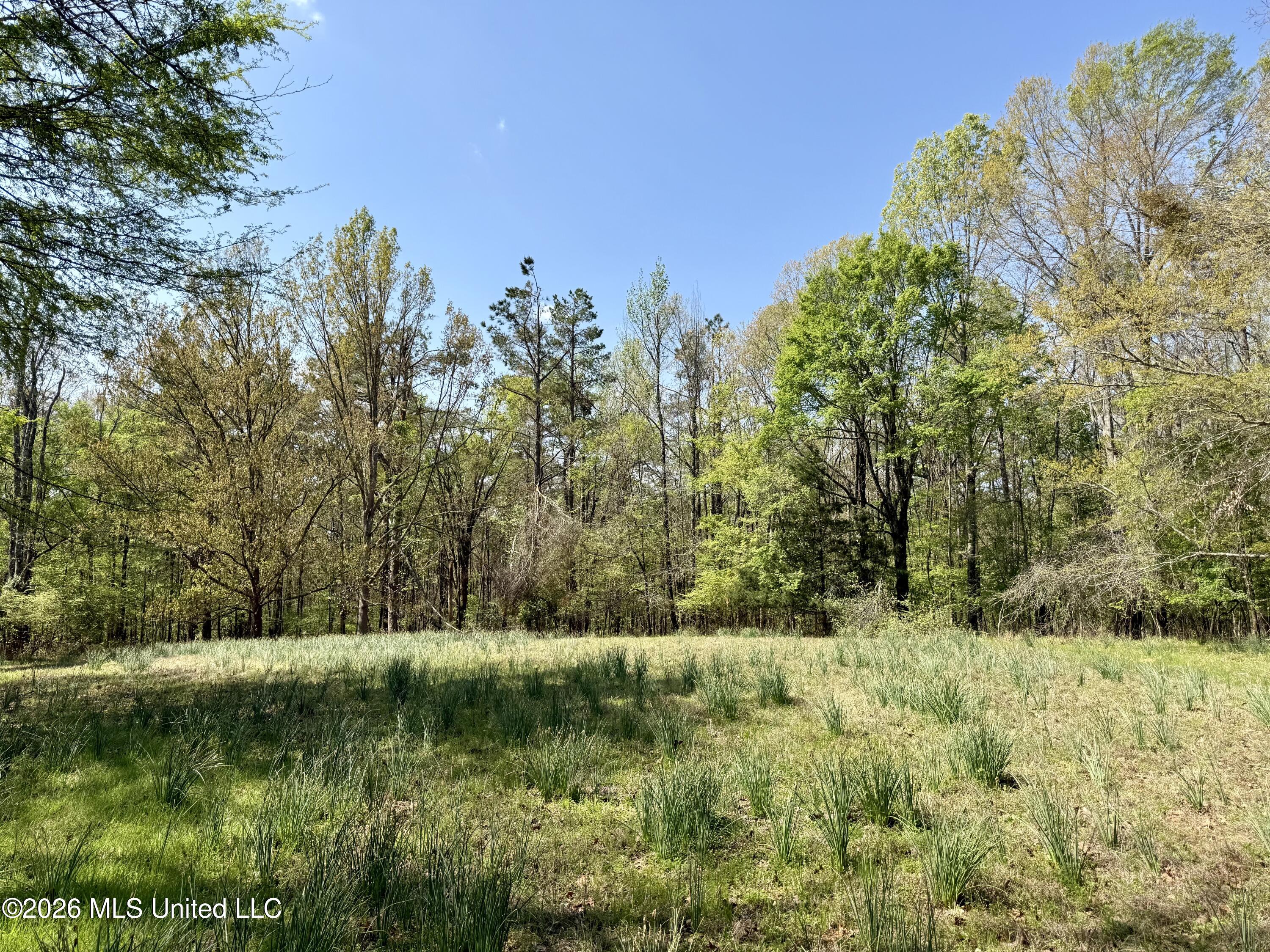 27979 Highway 12 Lexington, MS 39095 - Photo 13 of 32 Photo Mar 27 2026, 11 52 21 AM