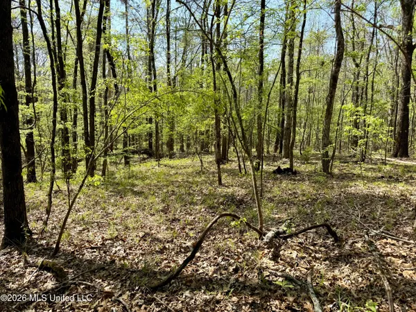 $1,050,000 | 27979 Highway 12, Lexington, MS 39095