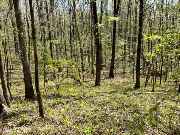 $1,050,000 | 27979 Highway 12, Lexington, MS 39095