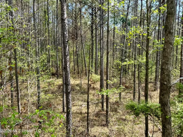$1,050,000 | 27979 Highway 12, Lexington, MS 39095