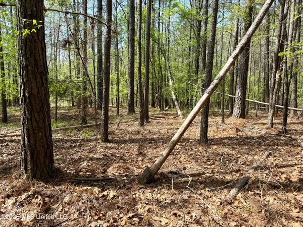 $1,050,000 | 27979 Highway 12, Lexington, MS 39095