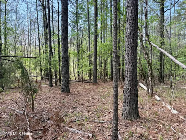 $1,050,000 | 27979 Highway 12, Lexington, MS 39095