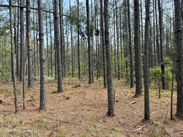 $1,050,000 | 27979 Highway 12, Lexington, MS 39095