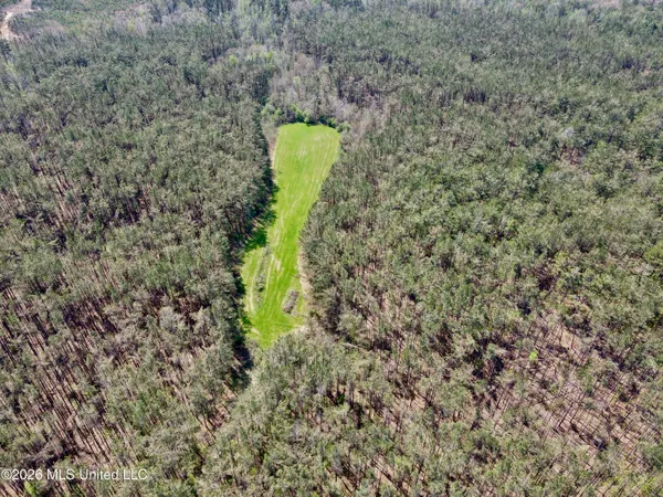 $1,050,000 | 27979 Highway 12, Lexington, MS 39095