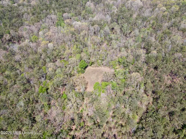 $1,050,000 | 27979 Highway 12, Lexington, MS 39095