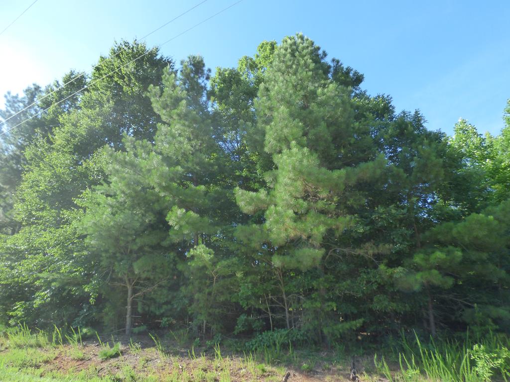 771 Briery Way Road, Unit 1 Farmville, VA 23901 - Photo 1 of 1 Gallery Image 1