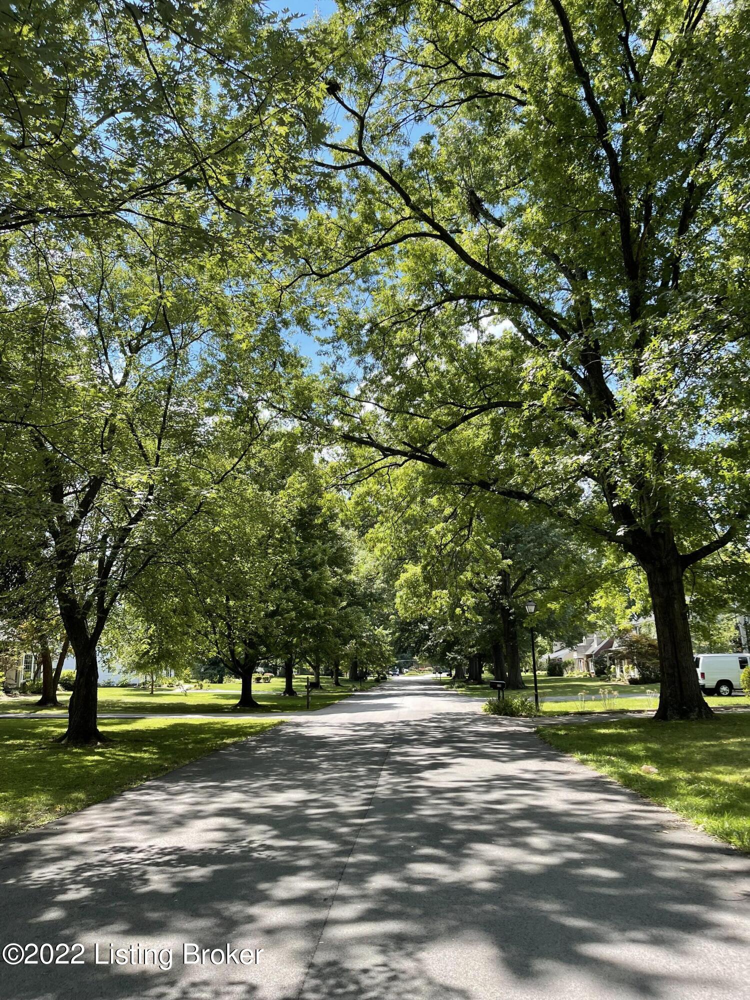 210 North Chadwick Road Louisville, KY 40222 - Photo 46 of 46 Tree Lined Streets in Moorgate
