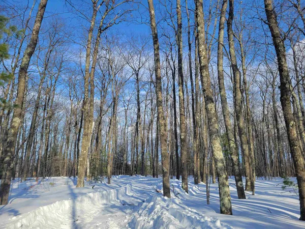 $194,900 | 888-xx Turner Road, Bayfield, WI 54814