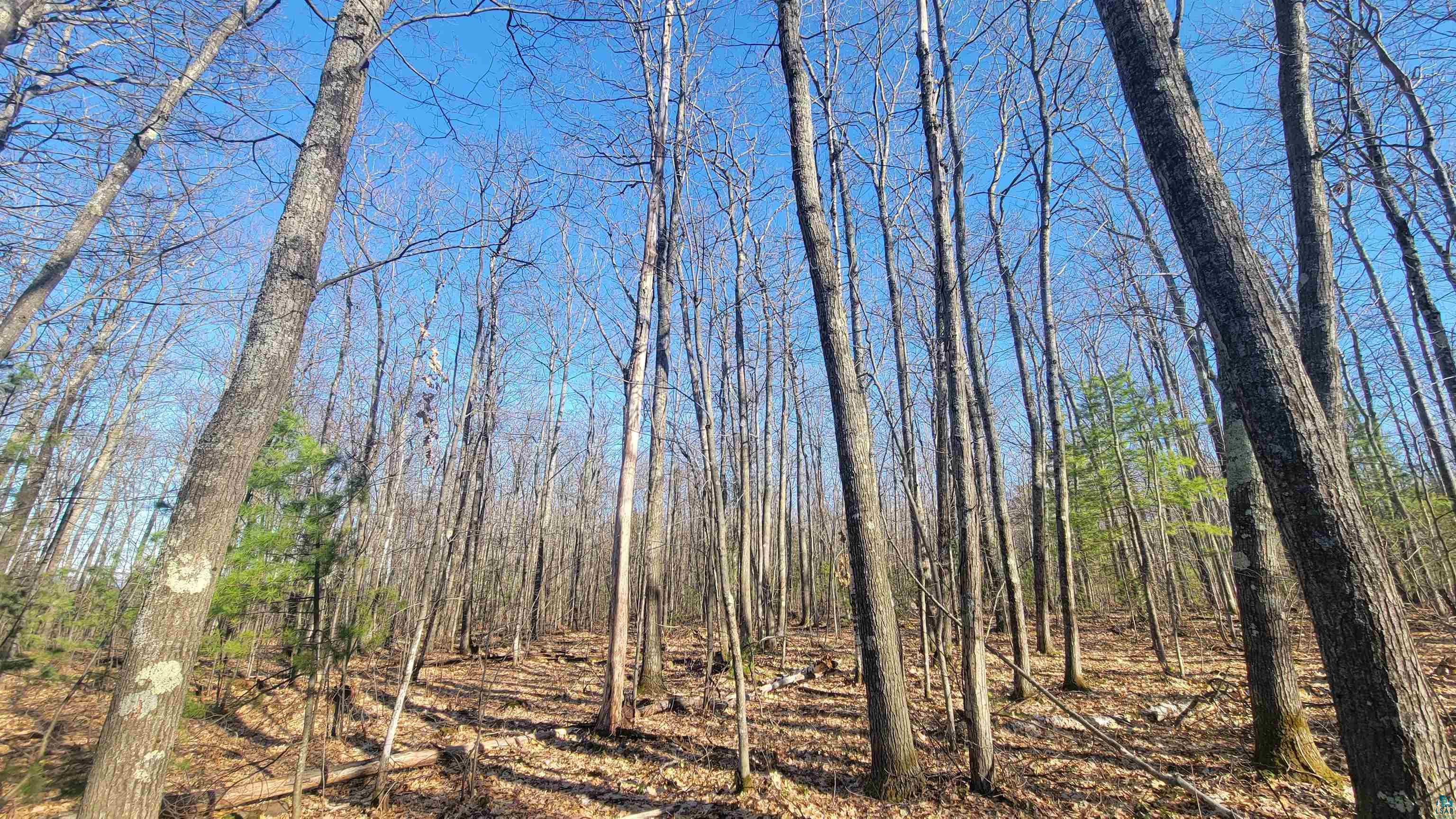 888-xx Turner Road Bayfield, WI 54814 - Photo 25 of 26