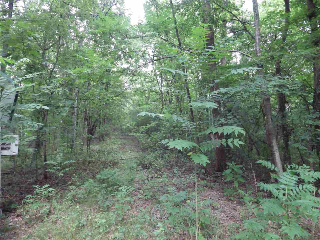 1370 River Road Decatur, TN 37322 - Photo 7 of 13 Gallery Image 7