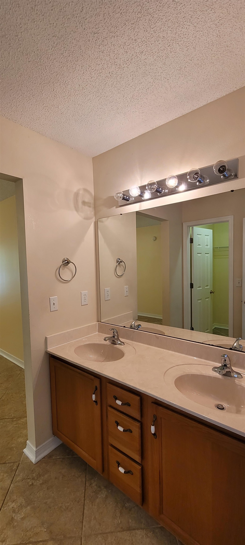 14714 Abacus Drive Foley, AL 36535 - Photo 21 of 47 Primary/Double Vanity