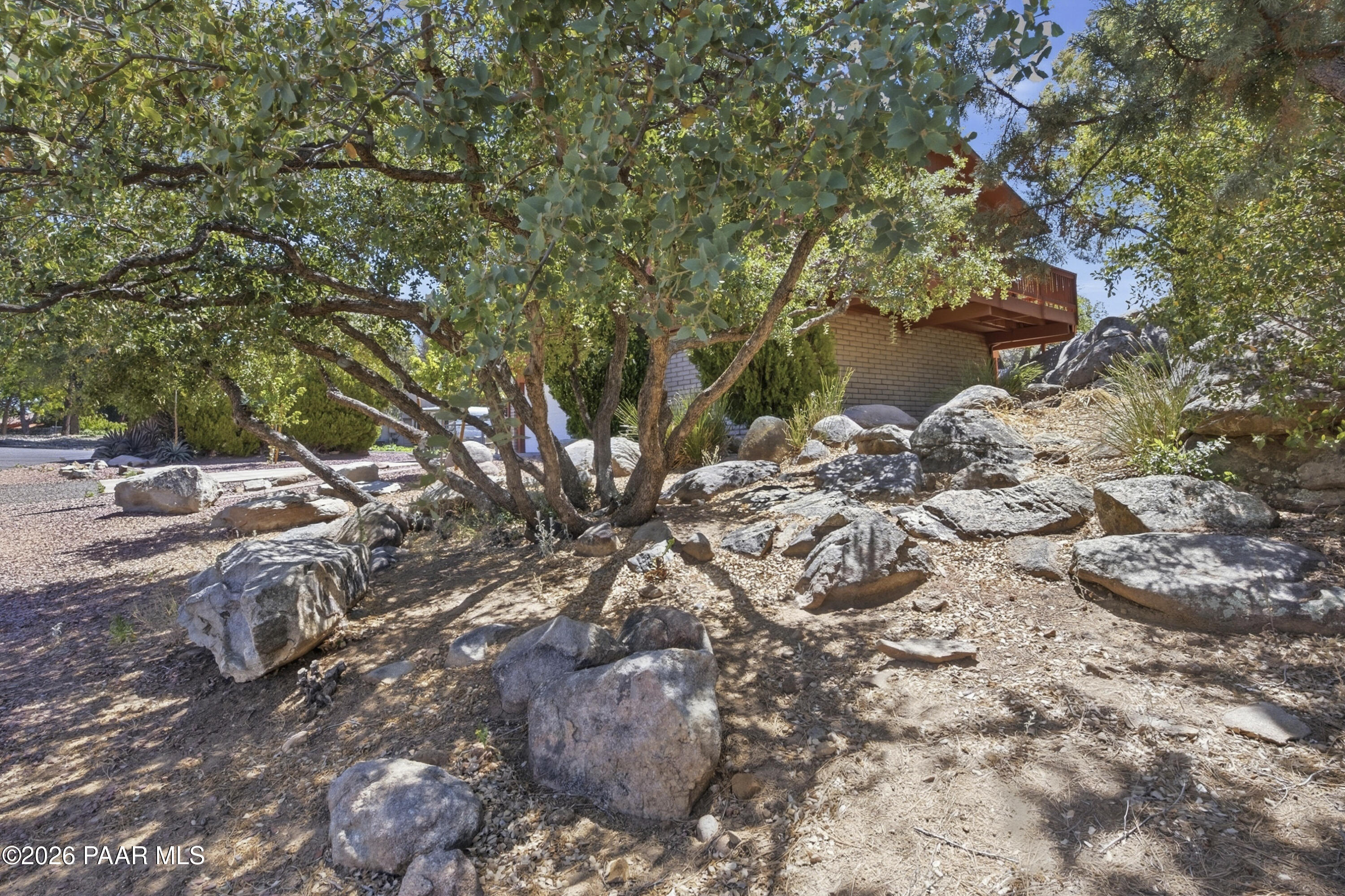 1775 Grandview Road Prescott, AZ 86305 - Photo 6 of 42 a view of a tree in a yard