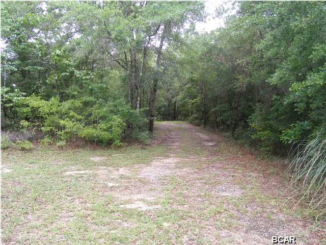 2391 Ferguson Road Chipley, FL 32428 - Photo 13 of 16
