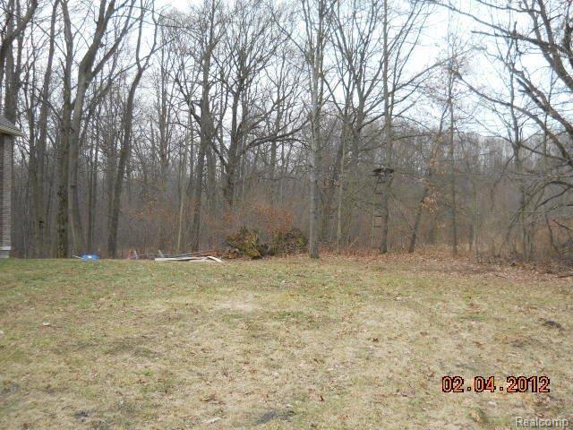 20650 Haggerty Road Belleville, MI 48111 - Photo 17 of 17 yard.JPG
