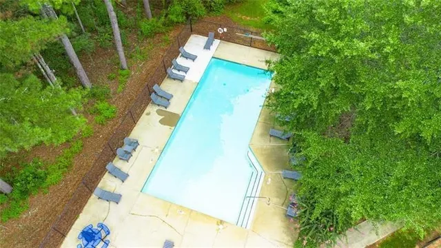 a bird view of tall trees