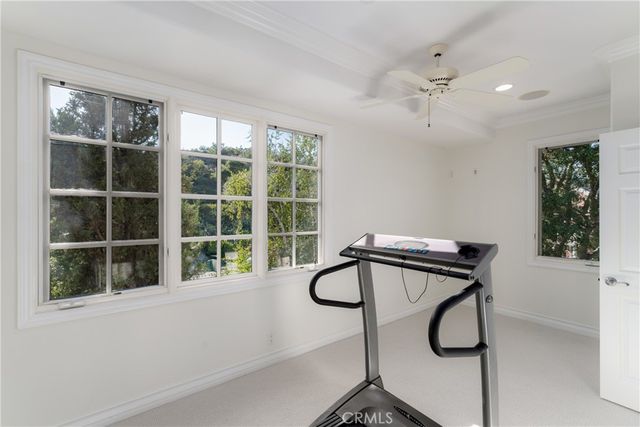 a view of a garden with flowers and trees