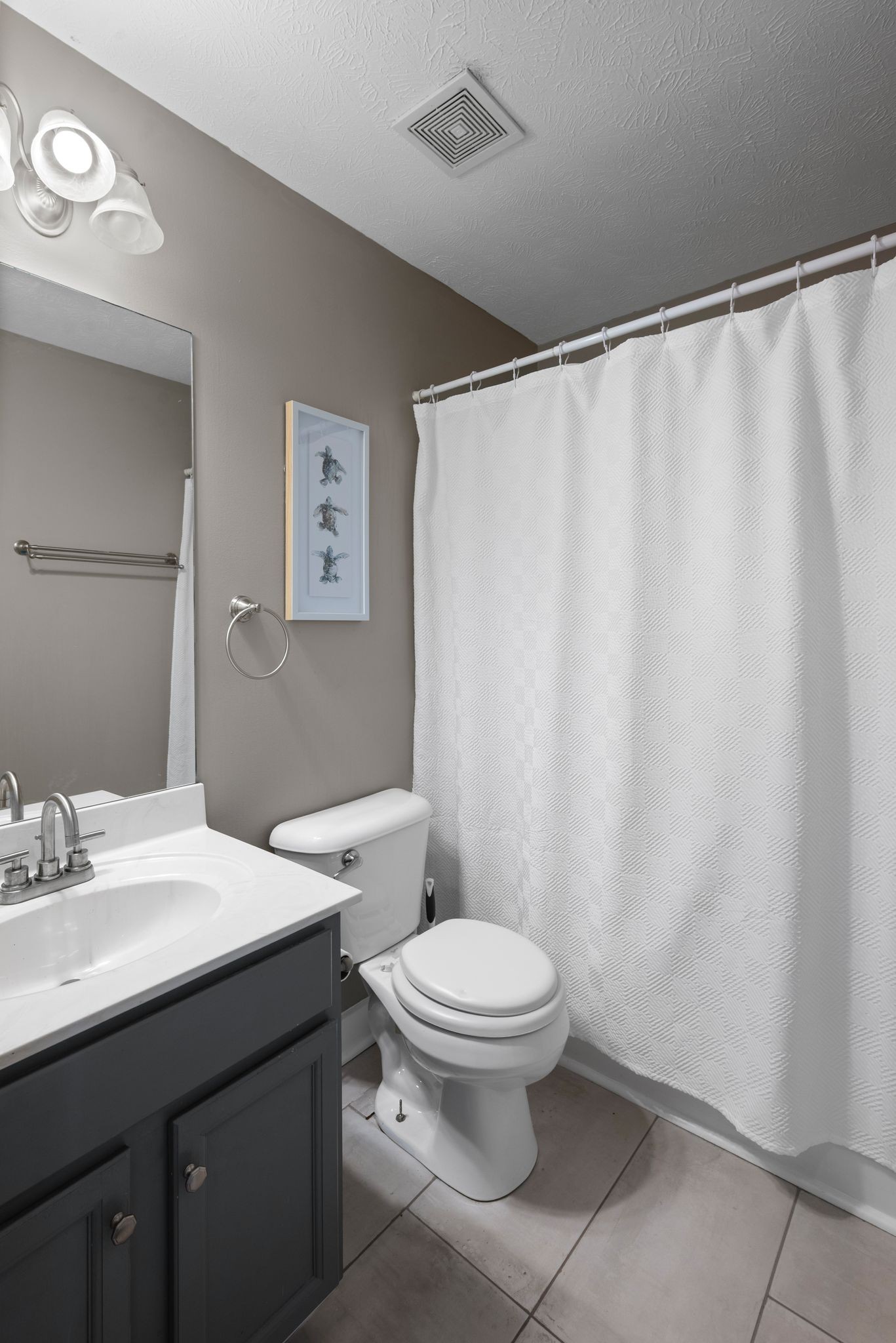 4223 Birmingham Road Lebanon, TN 37090 - Photo 15 of 30 a bathroom with a sink a toilet and shower curtain