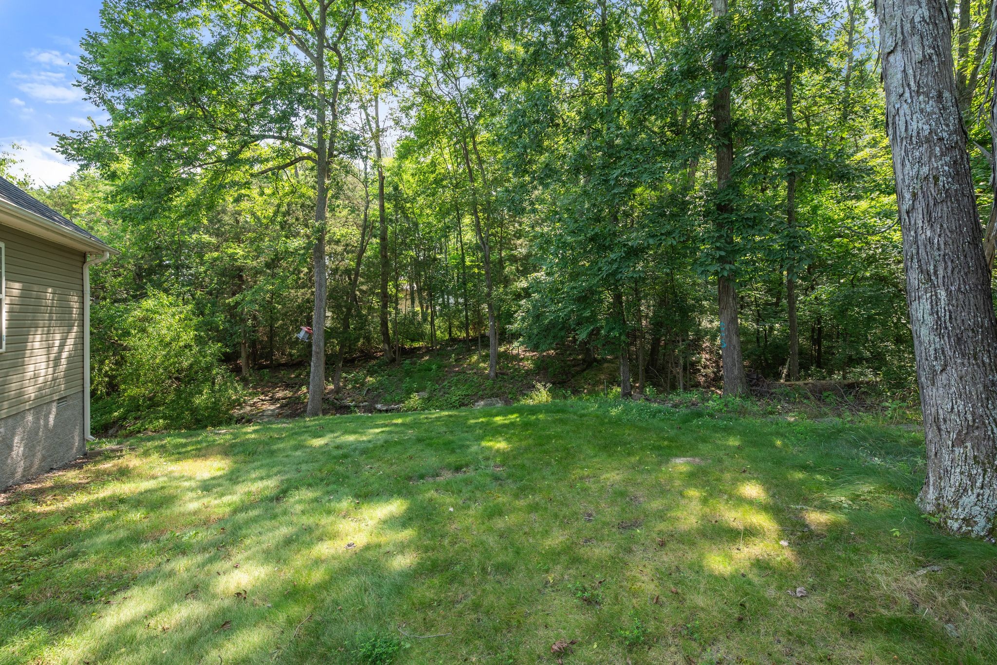 4223 Birmingham Road Lebanon, TN 37090 - Photo 25 of 30 a view of backyard with green space