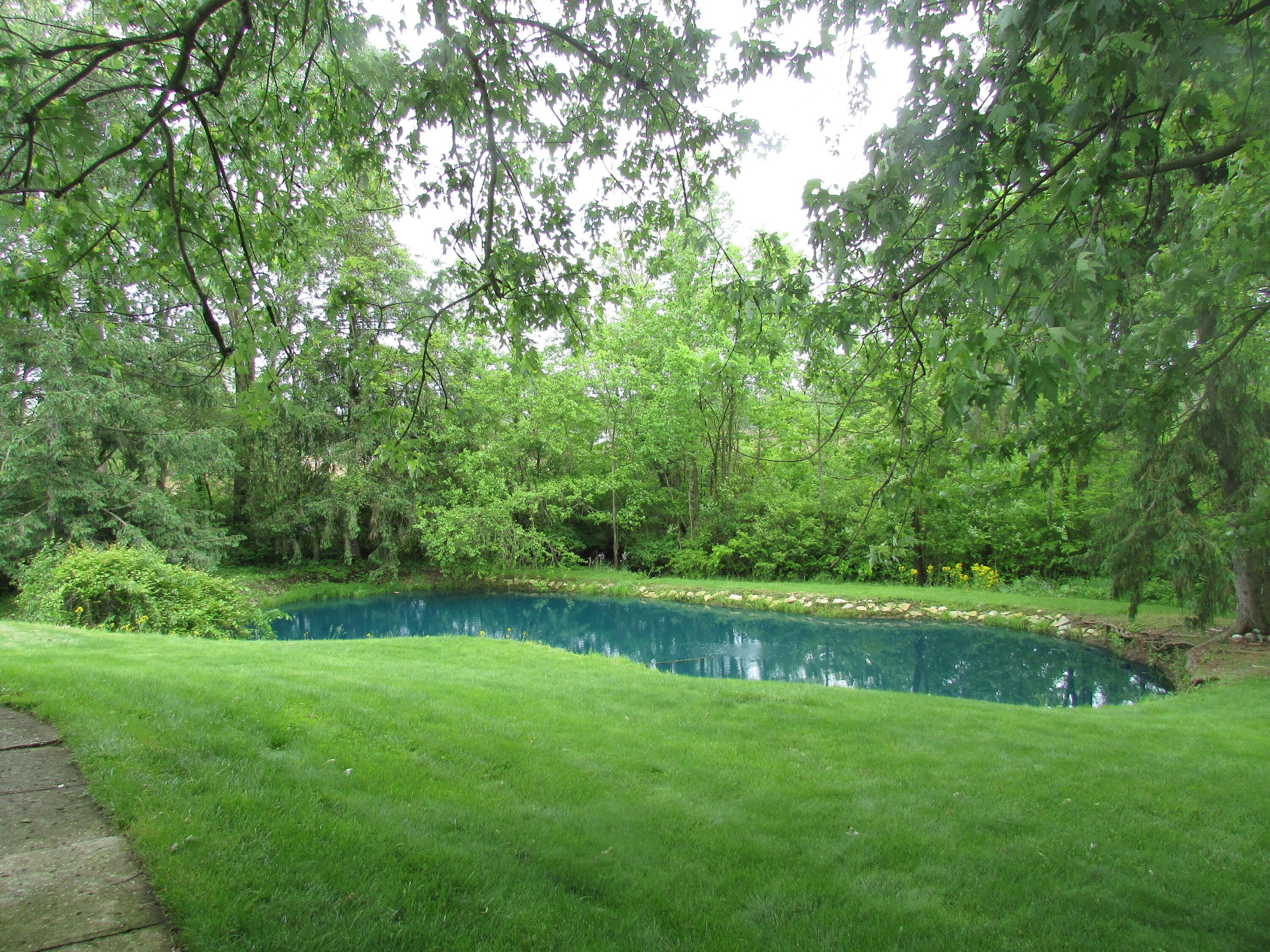 1000 Lewis Center Road Lewis Center, OH 43035 - Photo 14 of 19 Lewis Center Pond 2