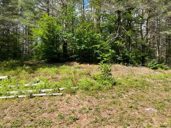 $30,000 | 569 Emmonsburg Road, Salisbury, NY 13454